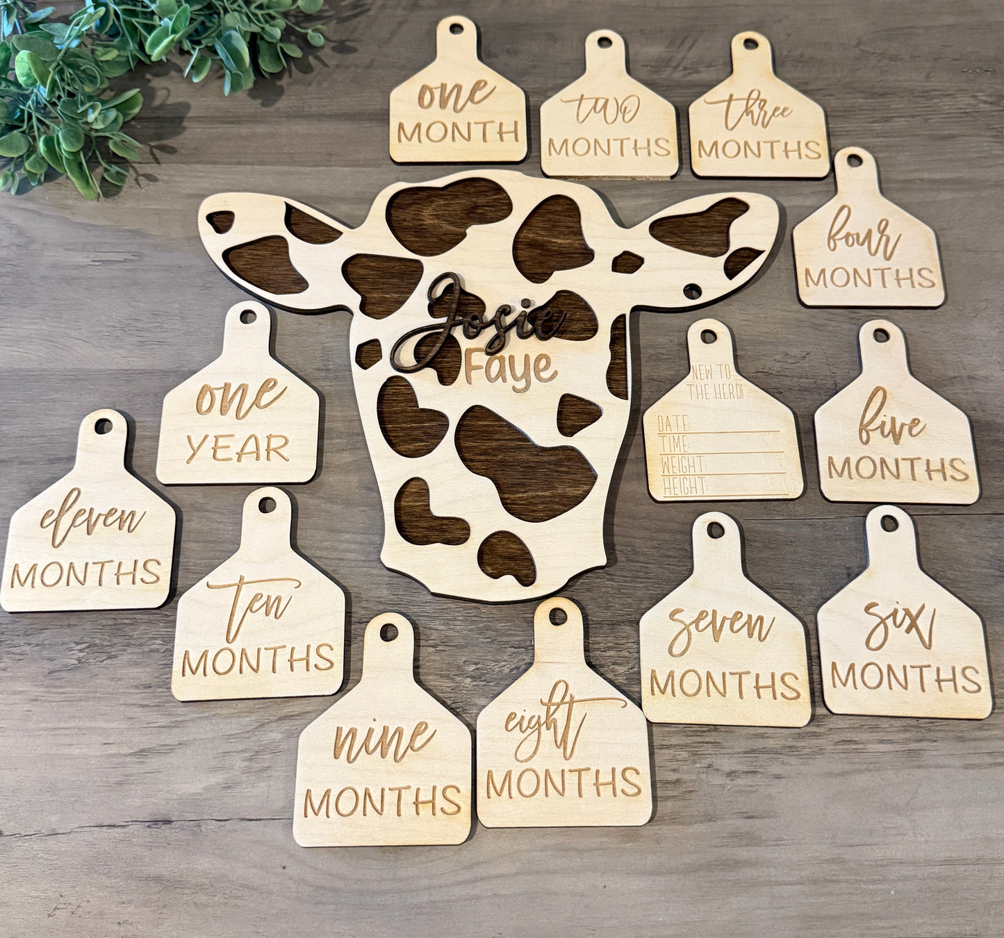 Spotted Cow Baby Announcement