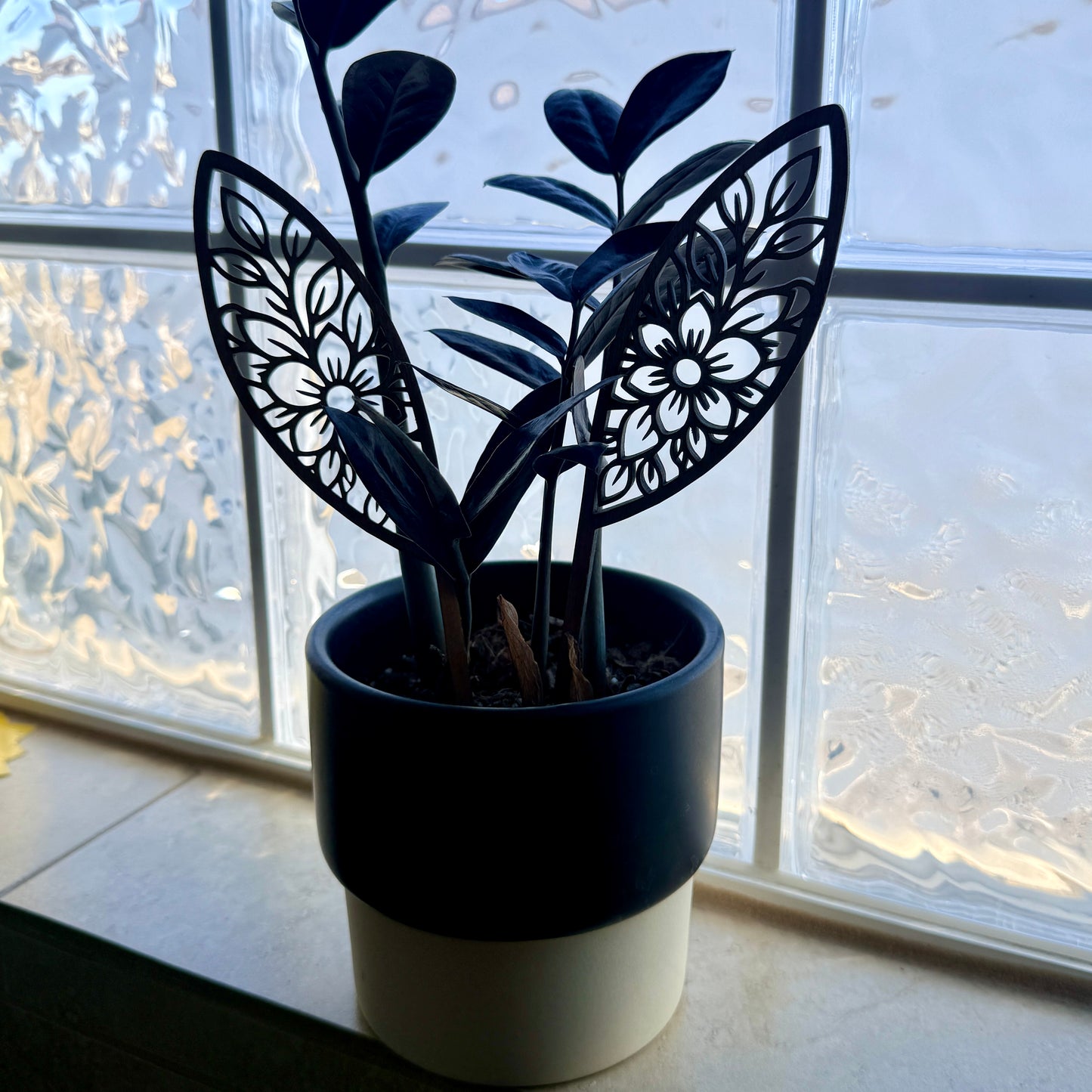 Easter plant steaks￼