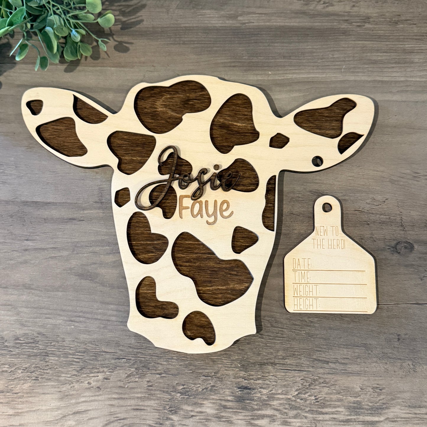 Spotted Cow Baby Announcement